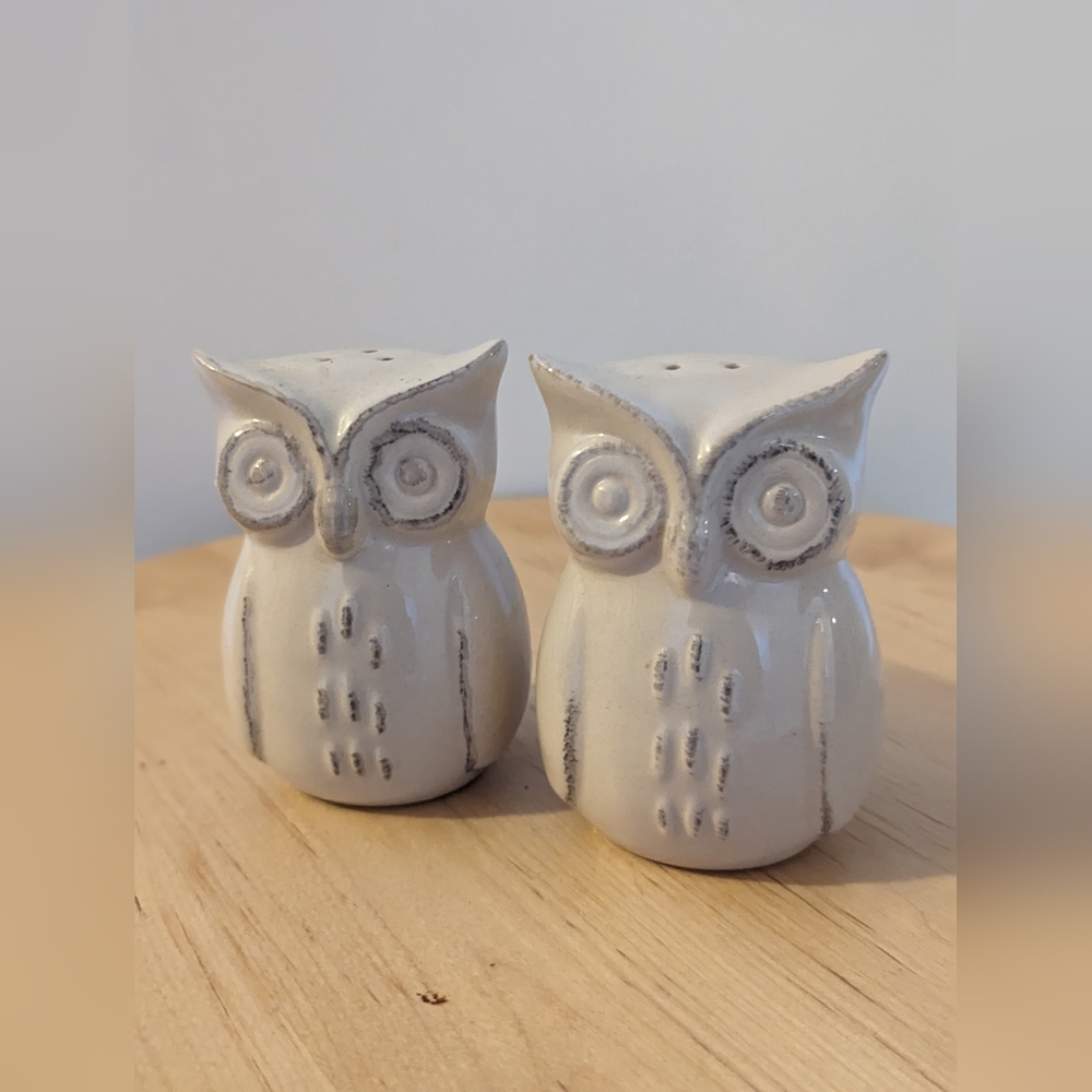 VINTAGE Owl Salt and Pepper Shakers